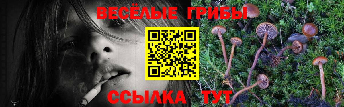 что такое   Галлюциногенные грибы Cubensis  Вход с VPN  Нягань  Псилоцибиновые грибы мухоморы 